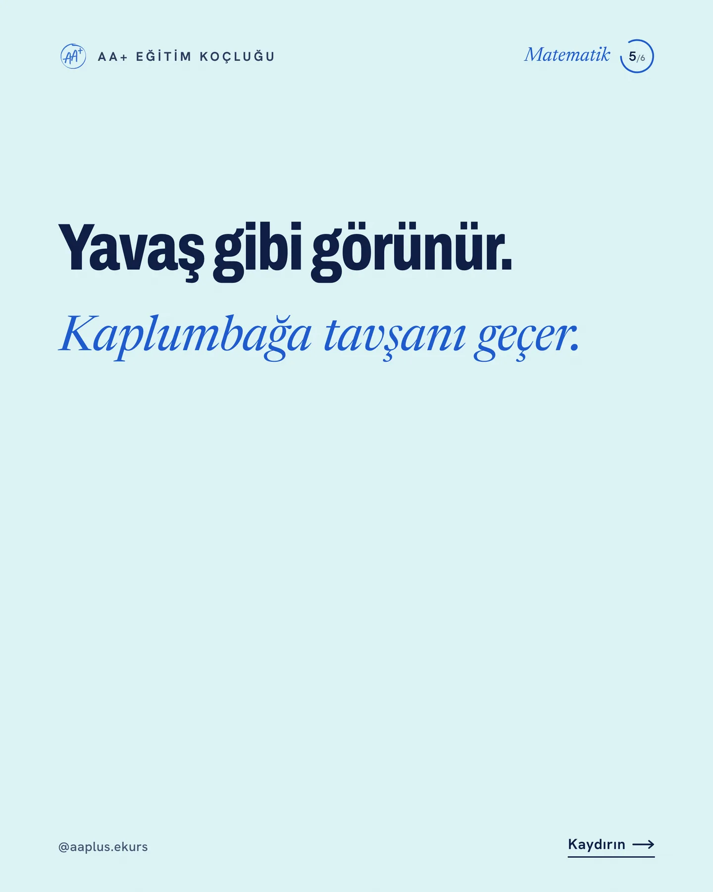 AA+ Eğitim Koçluğu "Fonksiyon bitmeden türeve geçmiyoruz" gönderisi 5. kart — yavaş gibi görünür: Kaplumbağa tavşanı geçer
