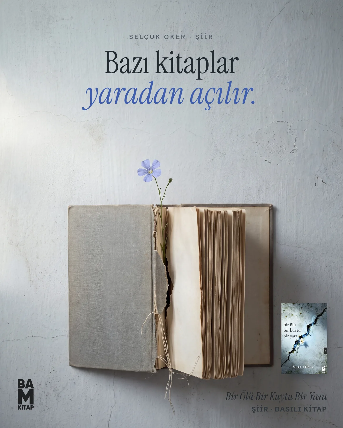 BAM Kitap Instagram gönderisi — Bir Ölü Bir Kuytu Bir Yara, Tek Nesne serisi