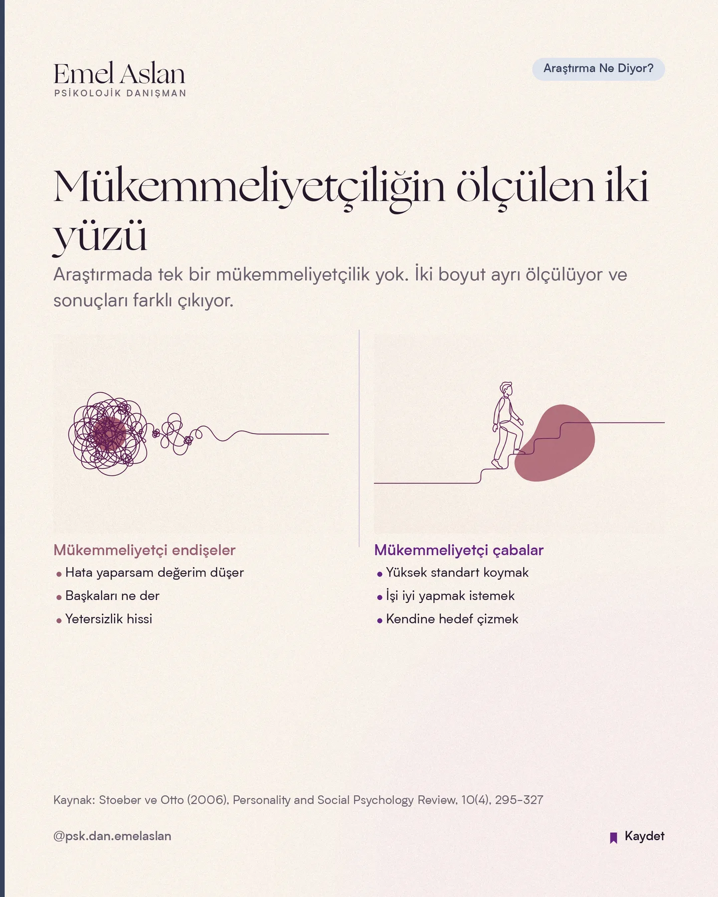 Emel Aslan Instagram gönderisi — Araştırma kartı — mükemmeliyetçiliğin ölçülen iki yüzü